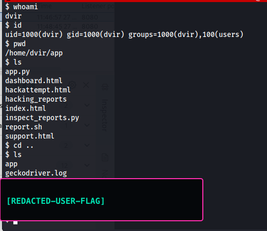 Headless initial shell, redacted